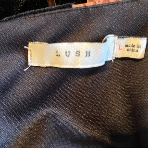 Velvet Flowered Mini Dress - Picture 3 of 3